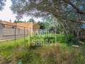 Villetta/House in Binixica