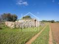 Terreno agrícola en Ciutadella, Menorca: ideal para proyecto de vida empresarial sostenible y de alta calidad