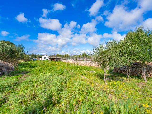 Un rincon de calma cercad de Torret. Sant Lluis. Menorca