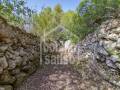 Descubra una Encantadora Finca en el Corazón de Menorca