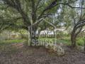 Beautfiul authentic farmhouse in spectacular surroundings, Alayor, Menorca