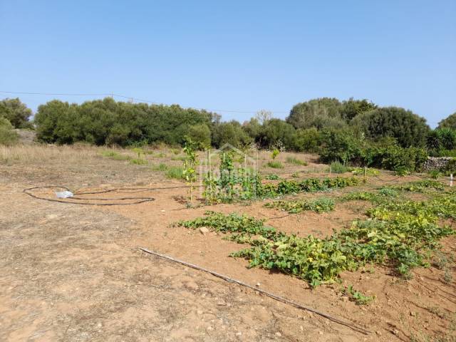 Terreno rustico en la zona de Talati de Baix, Mahón