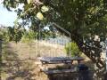 Terreno rústico con almacén agrícola en es Migjorn Gran, Menorca .