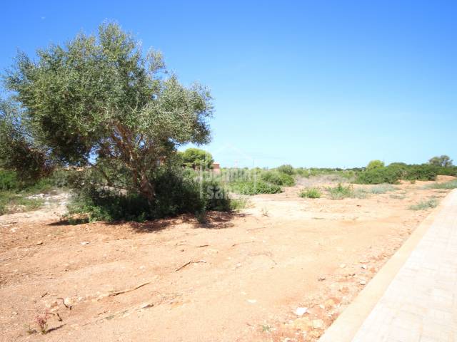 Building plot in the exclusive Son Xoriguer urbanisation, Ciutadella, Menorca
