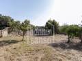 Descubra una Encantadora Finca en el Corazón de Menorca