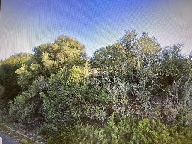 Rustic Plot for Sale in Alayor, Menorca.