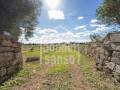 Rustico/Agricoltura in Ciutadella Polígono