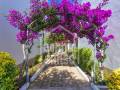 Apartment with Tourist License in Son Parc, Menorca.