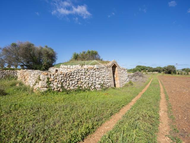Exklusive Gelegenheit in Ciutadella, Menorca: Premium-Agrarland