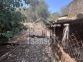Country house in Sa Gruta, 10 minutes to the Beach, Mallorca