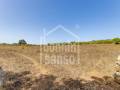 Descubra una Encantadora Finca en el Corazón de Menorca