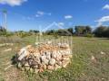 Terreno agrícola en Ciutadella, Menorca: ideal para proyecto de vida empresarial sostenible y de alta calidad