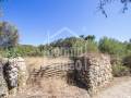 Tradicional casa de campo menorquina  en area rural de Es Castell -Menorca-