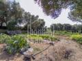 Descubra una Encantadora Finca en el Corazón de Menorca