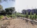 Descubra una Encantadora Finca en el Corazón de Menorca