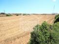 Parcela rústica-agrícola en zona consolidada, Ciutadella, Menorca
