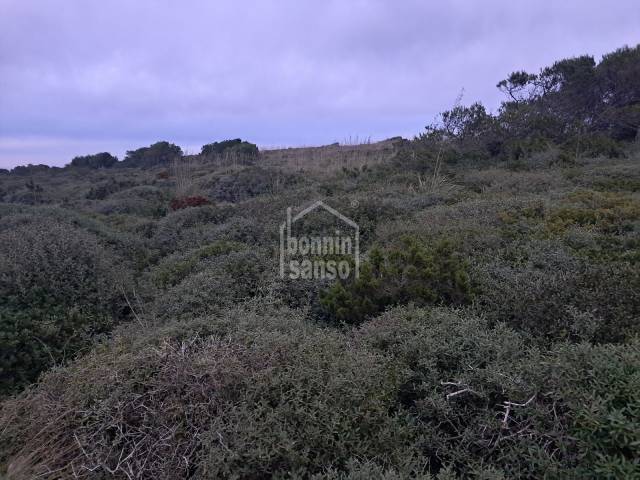 Terreno rustico non edificabile a Ciutadella, Minorca