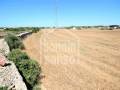 Terrain rustique-agricole dans zone consolidée, Ciutadella, Minorque