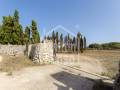Descubra una Encantadora Finca en el Corazón de Menorca