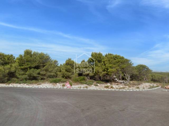 Parcela edificable con vistas al mar. Coves Noves. Menorca