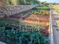 Rustikaler Gemüsegarten, ganz in der Nähe von Ciutadella, Menorca, Balearen