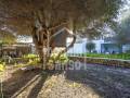 Xalet unifamiliar amb gran jardí i possibilitat de piscina a Trebalúger, Menorca
