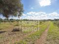 Rustico/Agricoltura in Ciutadella Polígono