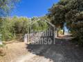 Finca de 58 hectáreas a escasos minutos de la costa sur de Menorca