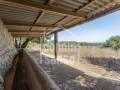 Descubra una Encantadora Finca en el Corazón de Menorca