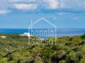 Charming 2-Bedroom House with Terrace, Garden Views, and Tourist License