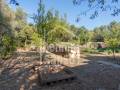 Une oasis menorquín à quelques minutes de Sant Lluís, Minorque .