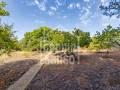Huerto en zona S´Uestra con agua, luz, safreig y casita, San Luis, Menorca