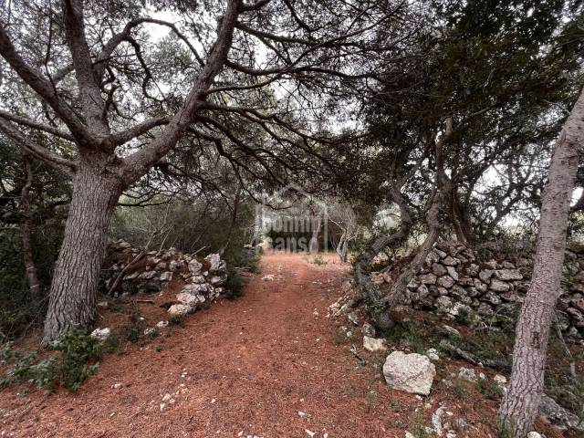 Interesting rustic land in the S'Algar area, Sant Lluis, Menorca