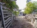 Descubra una Encantadora Finca en el Corazón de Menorca