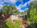 Encanto rustico en el corazón de Torret. Sant Lluis Menorca