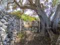 Descubra una Encantadora Finca en el Corazón de Menorca