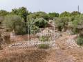 Profitez de la paix et de la tranquillité de la campagne dans cette belle maison de campagne située à proximité de Ciutadella, Minorque