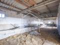 Terrenos con antigua casa de campo tradicional en la ampliación del polígono industrial, Ciutadella, Menorca