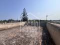 Country house in Sa Gruta, 10 minutes to the Beach, Mallorca
