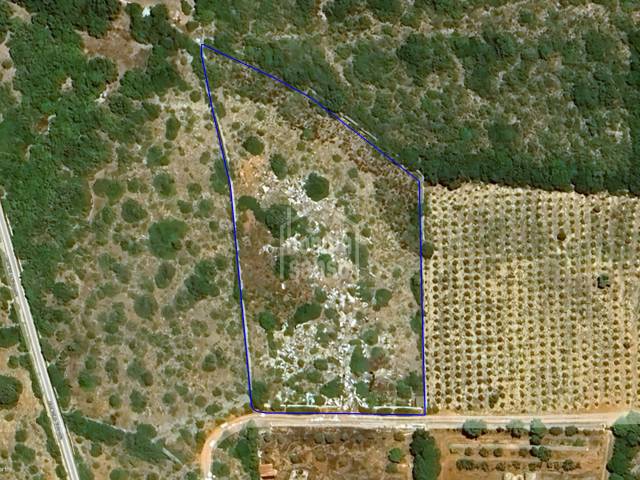 Agricultural land on the outskirts of San Luis, Menorca