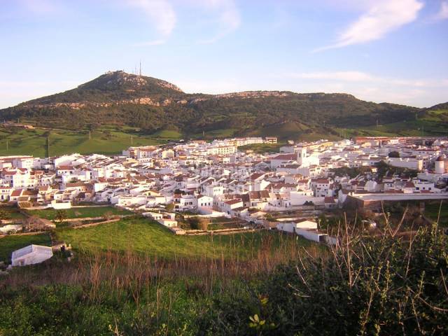 Terreno rústico en las inmediaciones de Mercadal