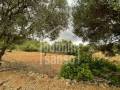 Terreno rustico edificable cerca de Arta, Mallorca
