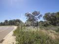 Development land for up to 27 homes in Son Parc, Menorca