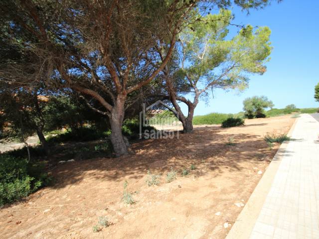Opportunity to buy a plot in the exclusive urbanization of Son Xoriguer, Ciutadella, Menorca