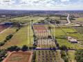 Terreno agrícola en Ciutadella, Menorca: ideal para proyecto de vida empresarial sostenible y de alta calidad