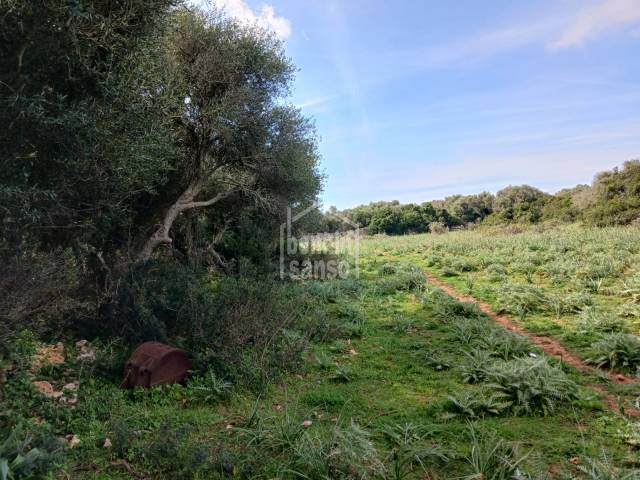 Terreno rústico sin edificar en San Luis, Menorca