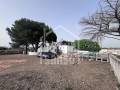 Active Estate for Sale in Ciutadella, Menorca