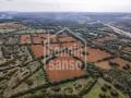 Beautfiul authentic farmhouse in spectacular surroundings, Alayor, Menorca