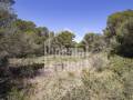 Suelo para desarrollar hasta 27 viviendas en Son Parc, Menorca