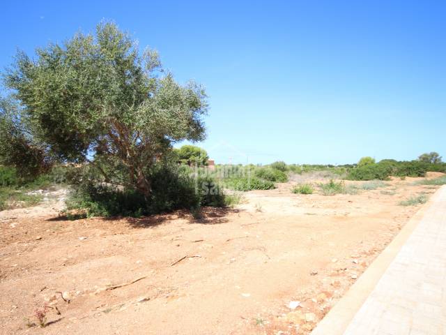 Solar edificable en muy buena zona de Son Xoriguer Menorca